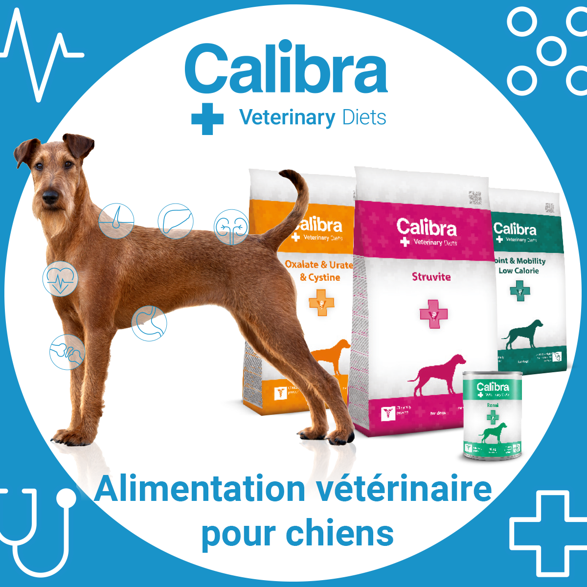 Calibra Veterinary Diets for Dogs