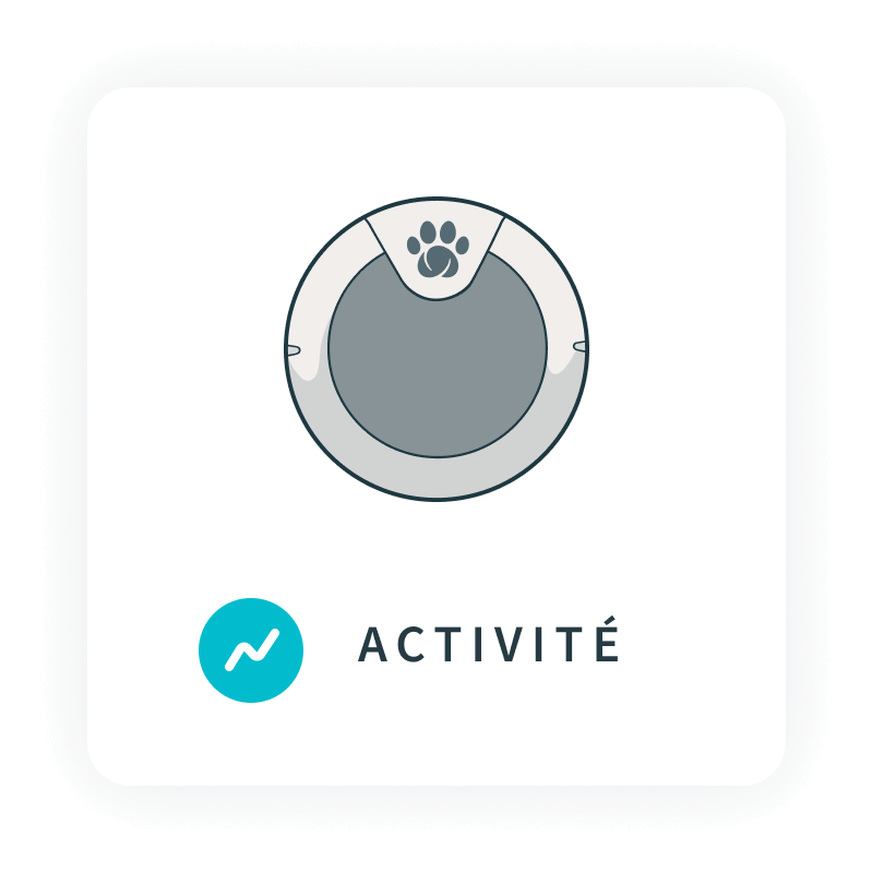 Covetrus | Activité