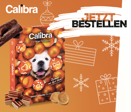 Covetrus | Calendrier de l'Avent Calibra 2025 Covetrus | Calendrier de l'Avent Calibra 2025