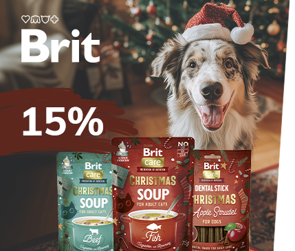 Covetrus | Brit Christmas Edition Covetrus | Brit Christmas Edition