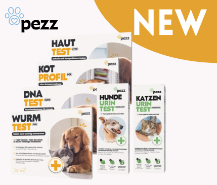 Covetrus | Pezz Covetrus | Pezz