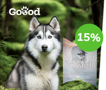 Covetrus | Moments de plaisir hivernaux