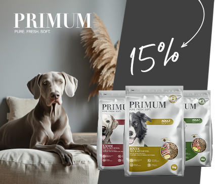 Covetrus | Relaunch Primum Covetrus | Relaunch Primum