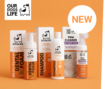 Covetrus | Nouveautés de DogsLife Covetrus | Nouveautés de DogsLife