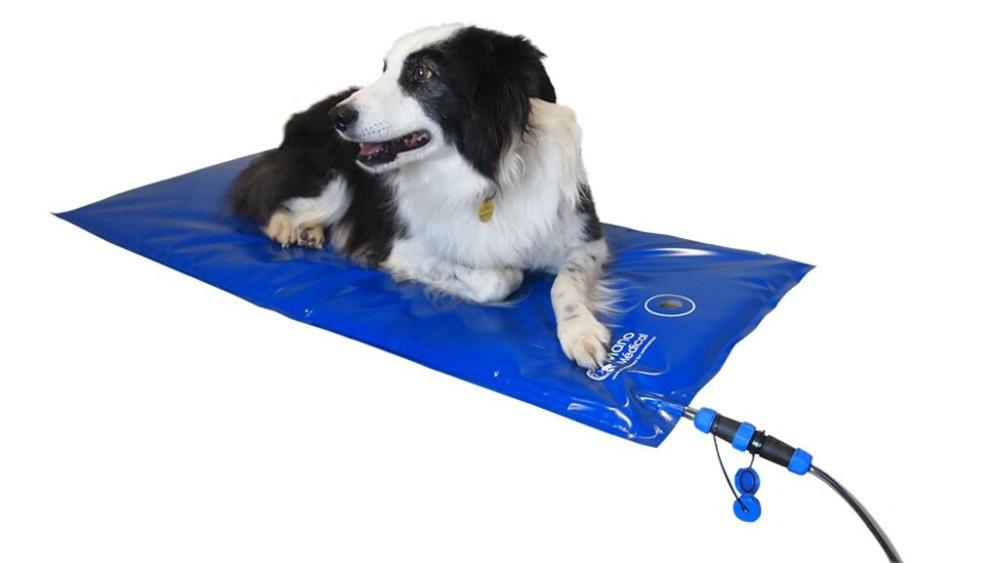 Carbon Tech tapis chauffant V2 pour cages, 52 x 62cm