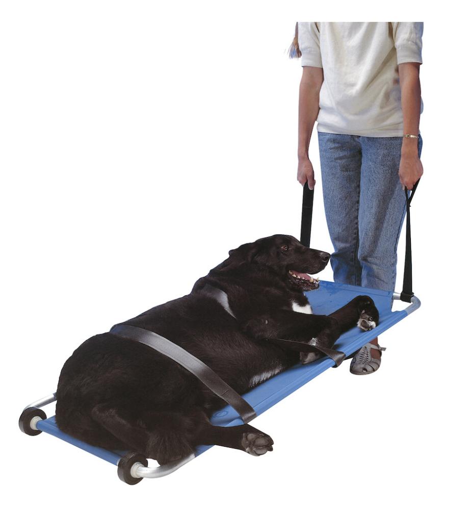 BUSTER Tiertrage 120 x 50 cm mit 2 Rollen BUSTER Tiertrage 120 x 50 cm mit 2 Rollen